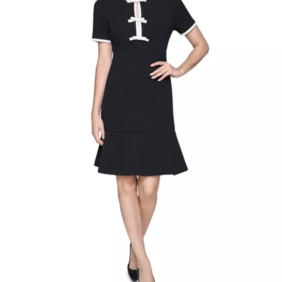 Elegant Black Dress with White Accents - Picture 2 of 8